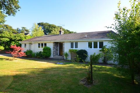 undefined, The Hollies, Throwleigh, Devon