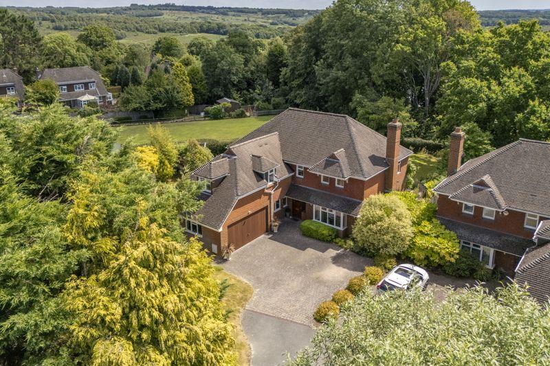 Front/Forest Behind