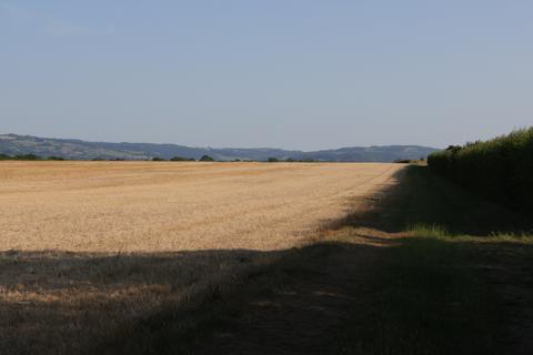 Land to rent, Badsey, Evesham, Worcestershire