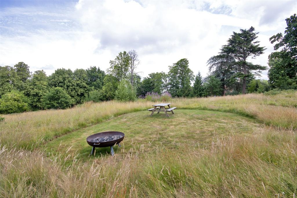 Field