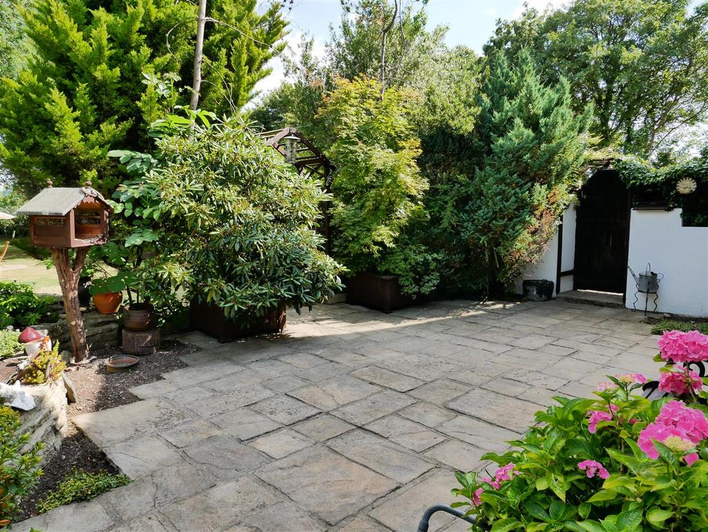 Courtyard garden