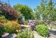 DSC03142 Alto.jpg