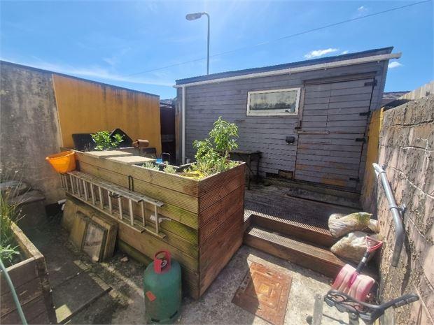 Shed