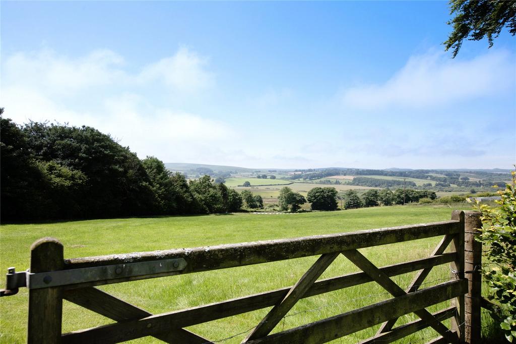 Grounds
