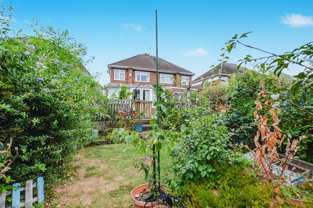 Garden 3.jpeg