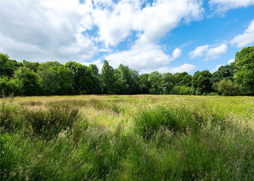 Fields