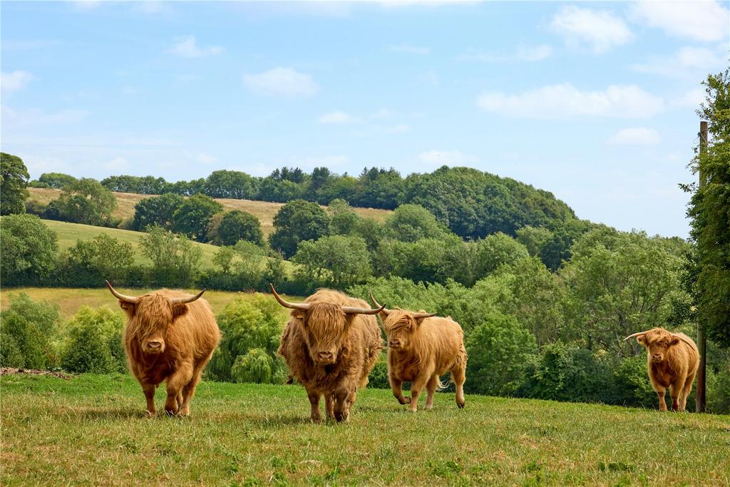 Grazing