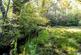 Additional image 24 of Woking,  Surrey,  GU21