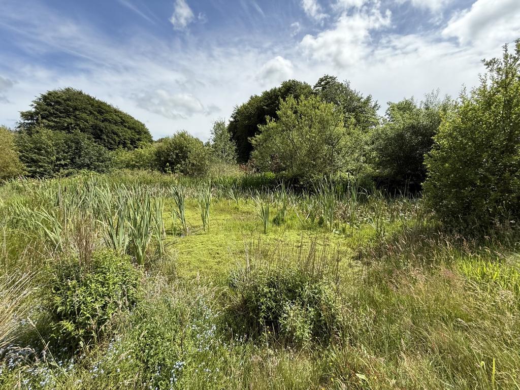 The Grounds