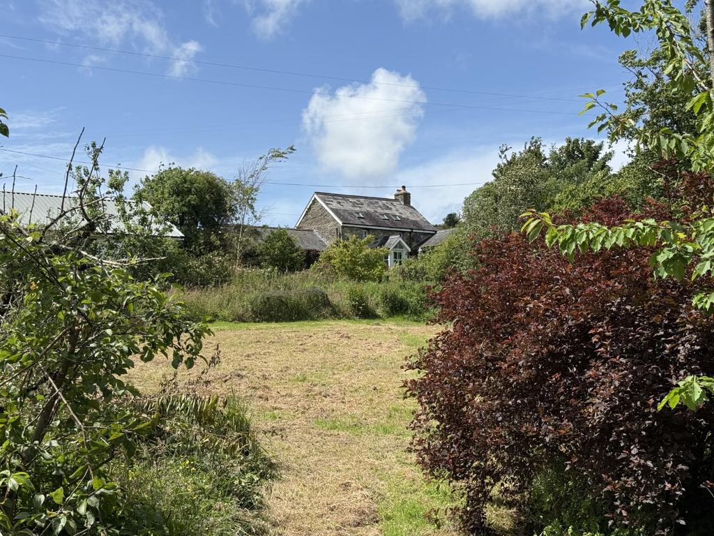 The Grounds