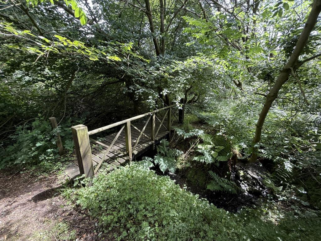 The Grounds