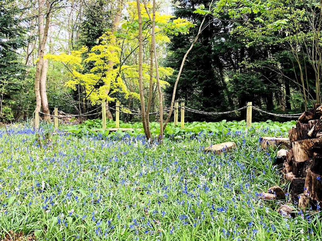 Woodland