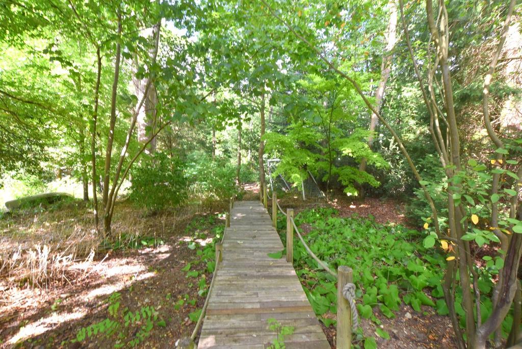 Woodland Area