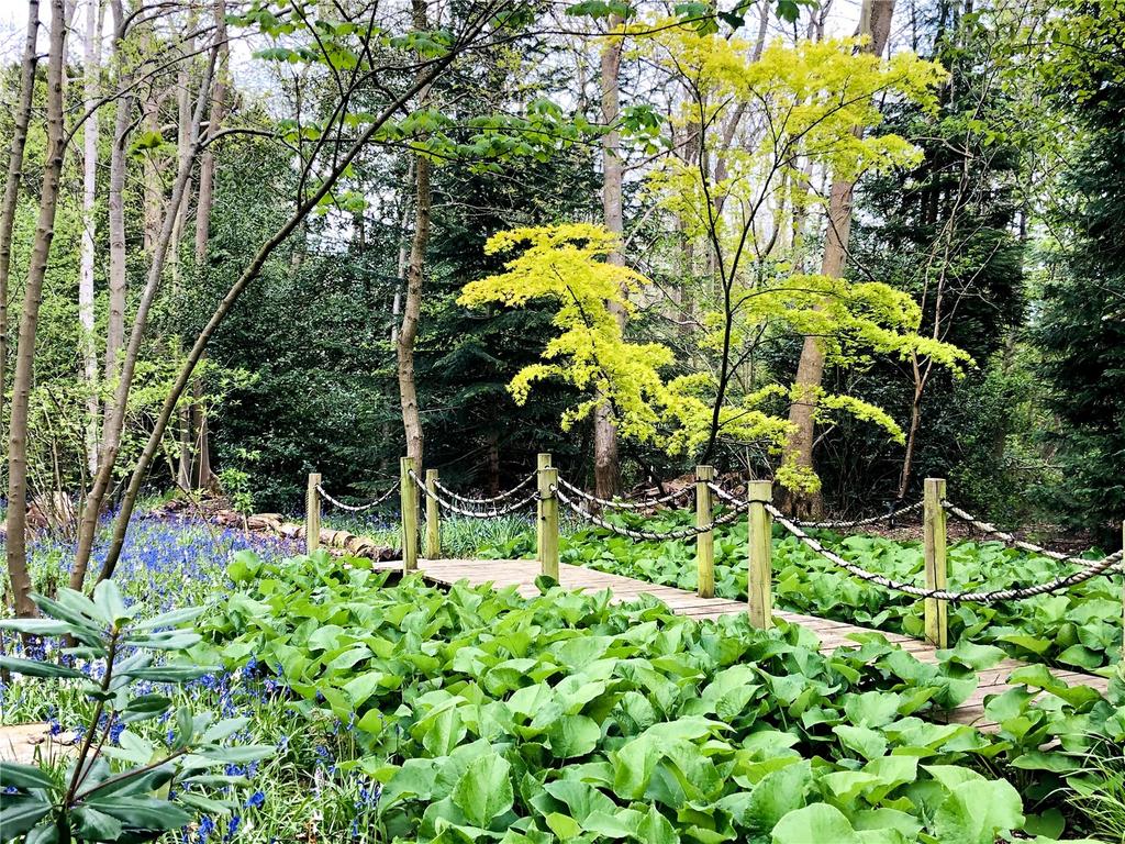 Woodland Path