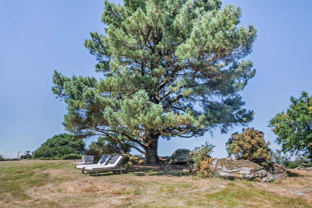 Grounds