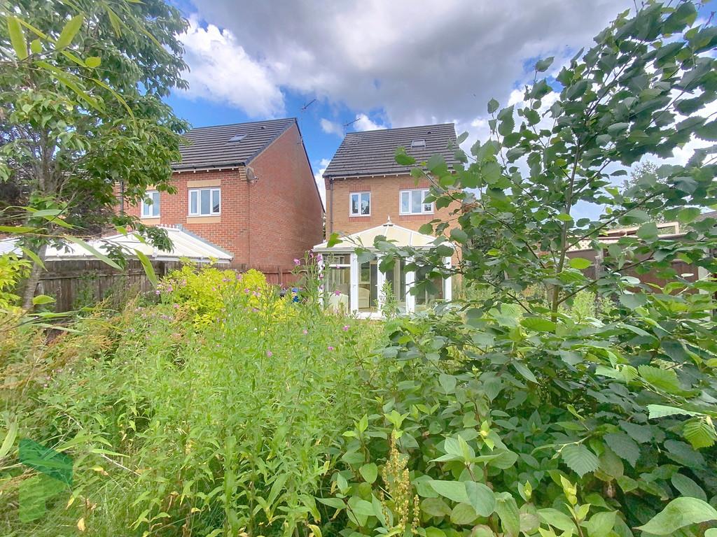 Rear Elevation and Garden
