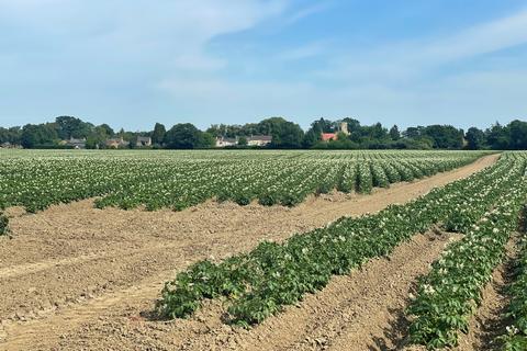 Land to rent, Wisbech