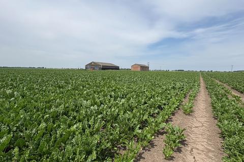 Land to rent, Wisbech