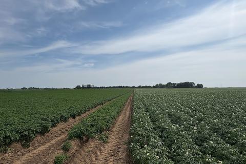 Land to rent, Wisbech