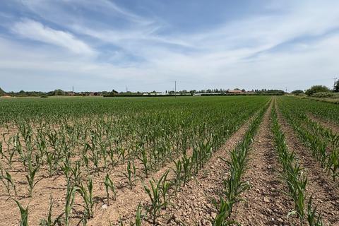 Land to rent, Wisbech