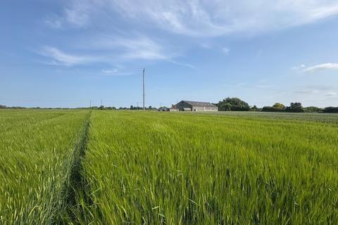 Land to rent, Cowbit