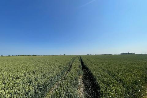 Land to rent, GOSBERTON AND SURFLEET FEN FARM