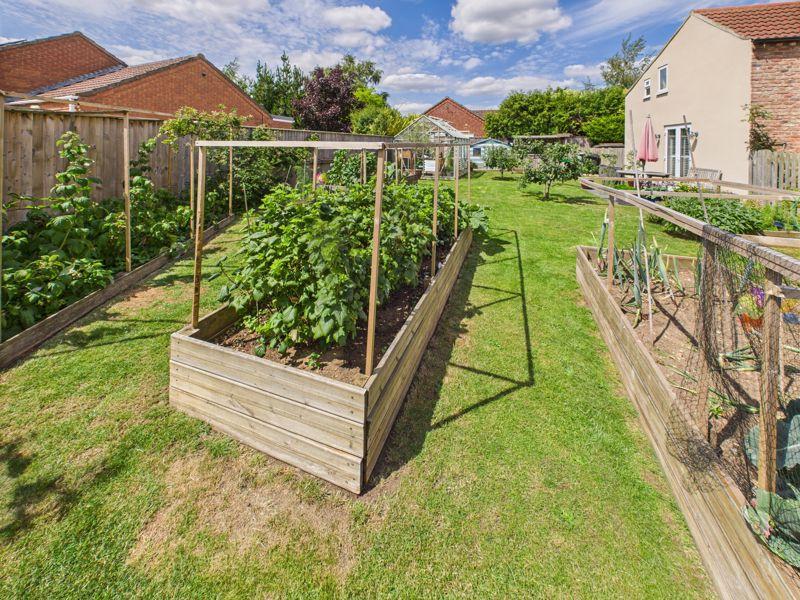 Side Garden