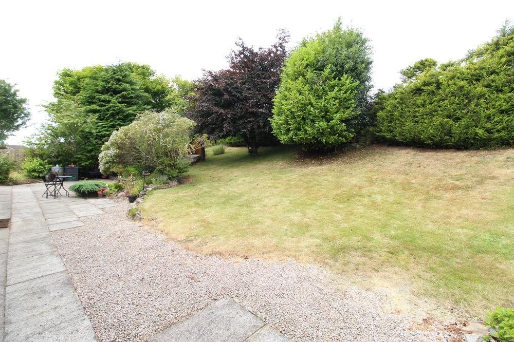 Garden 2