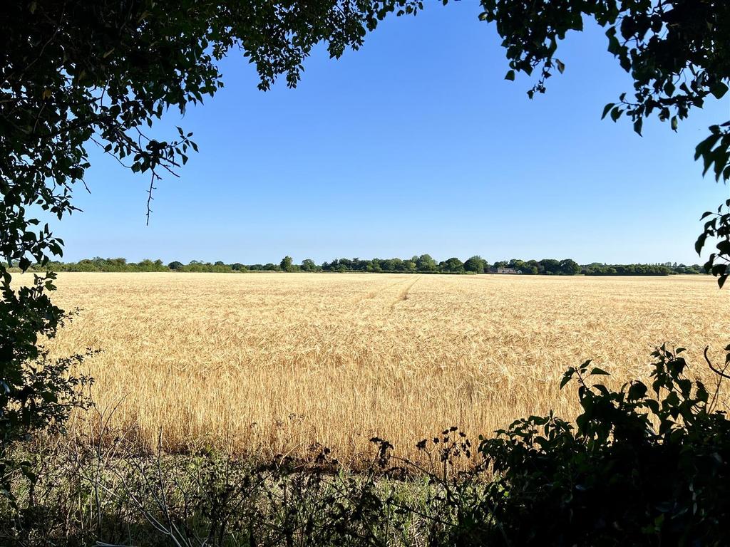 Down The Lane