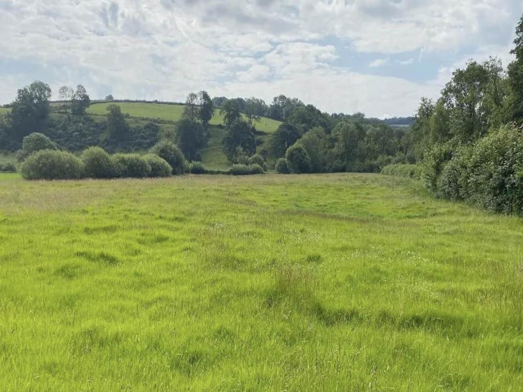 Pasture Land