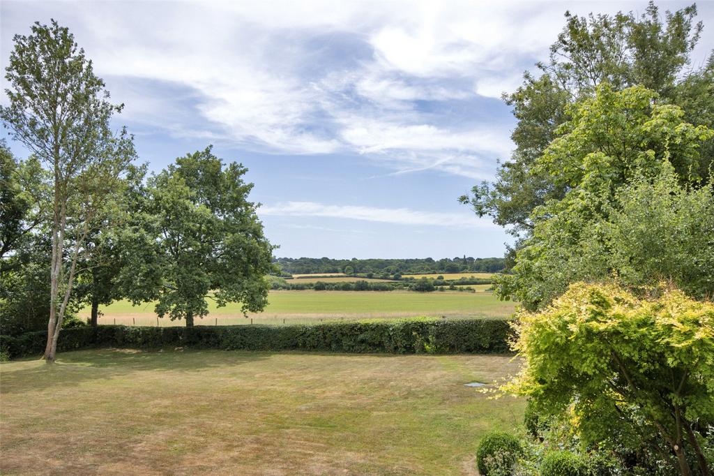 Garden and View