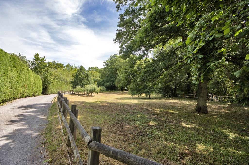 Drive and Field