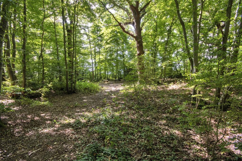 Woodland