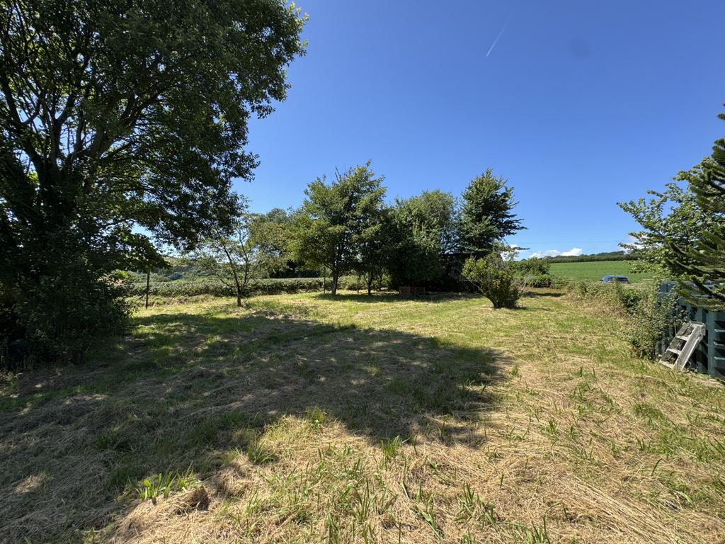 Rear Garden area
