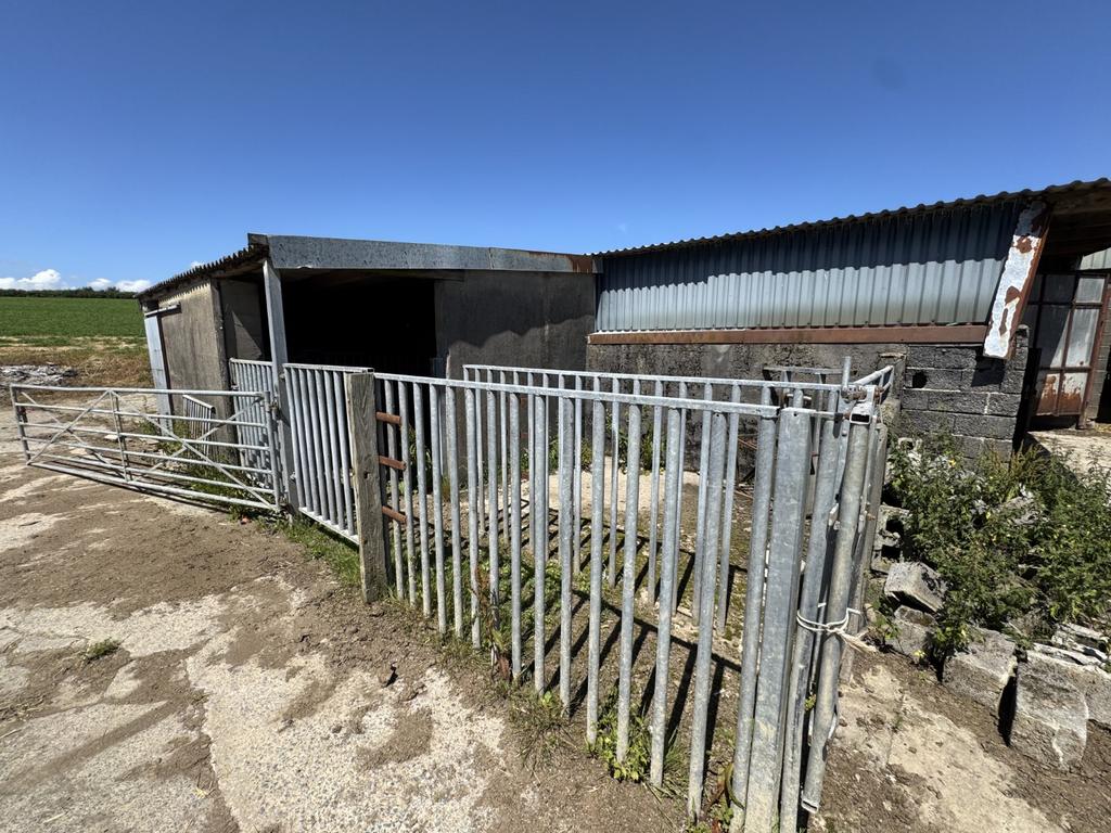 Bull Pen