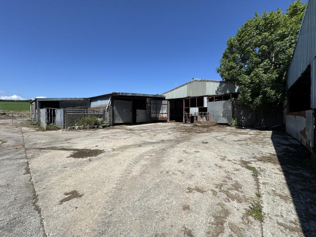 Young Stock Building