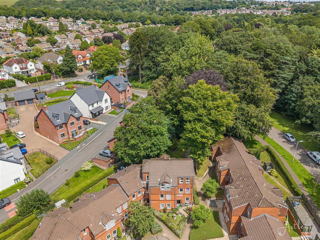 Aerial Images