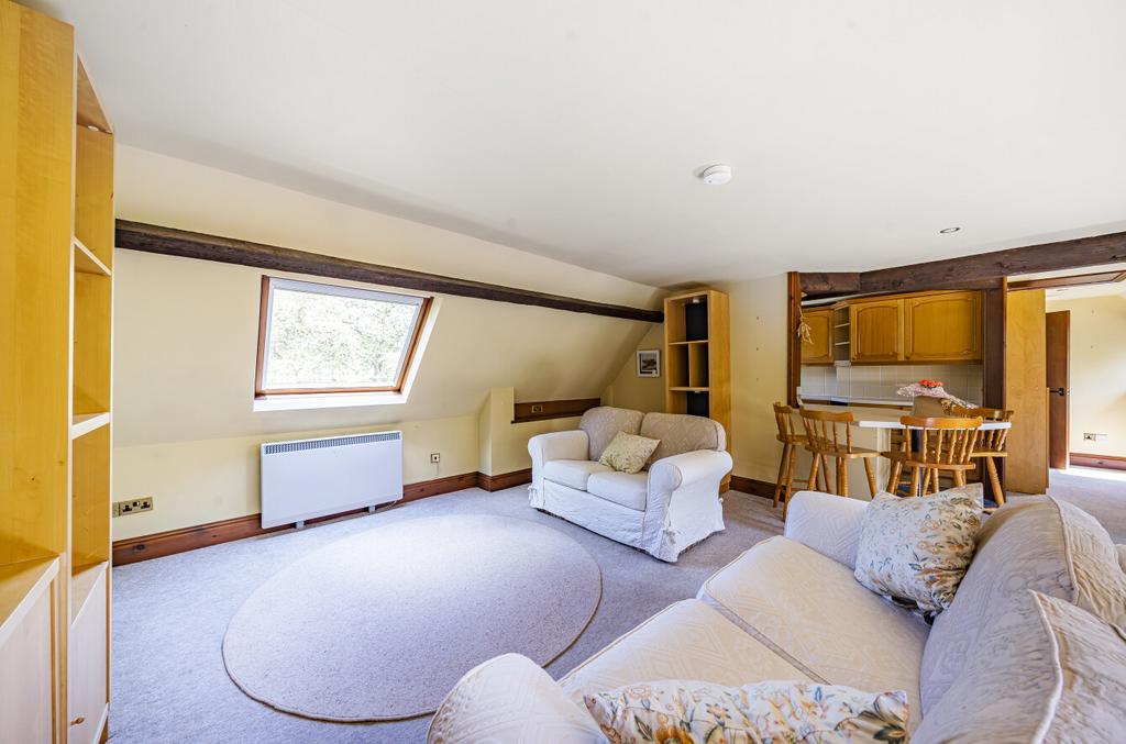 Living Room / Kitchen