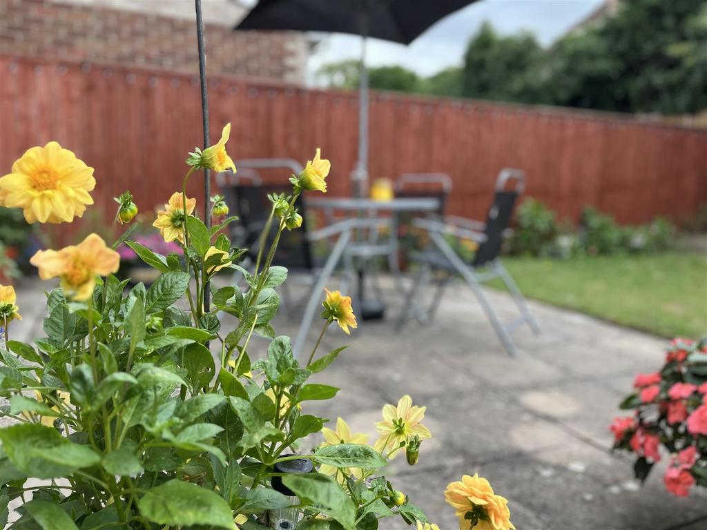 Patio Area.jpg