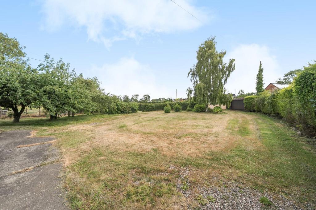 Garden.jpg