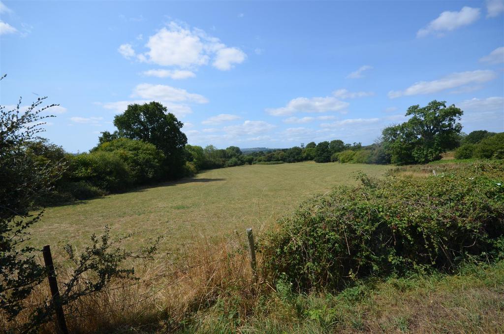 The First Field