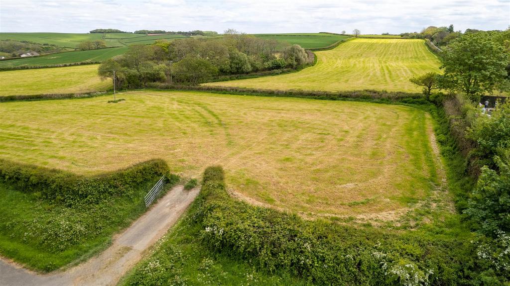 DJI 0803.jpg