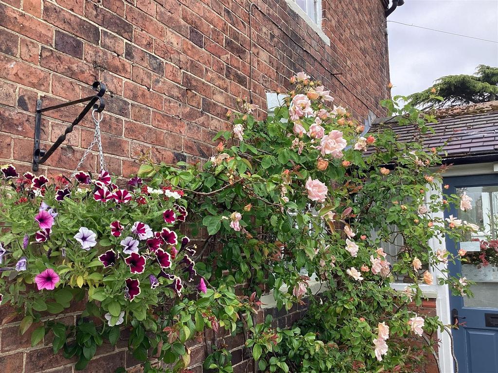 Flowers 1.jpg