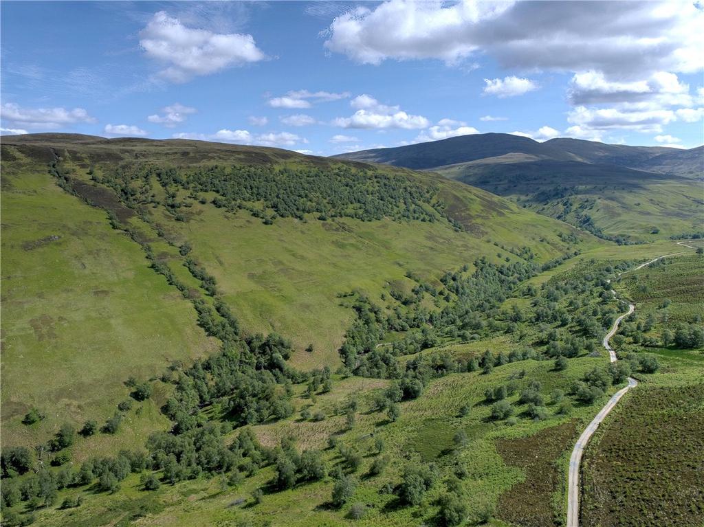Glen Buck