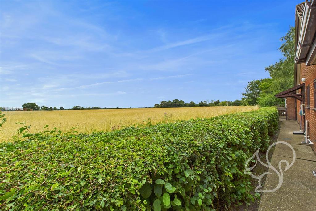 Field Views