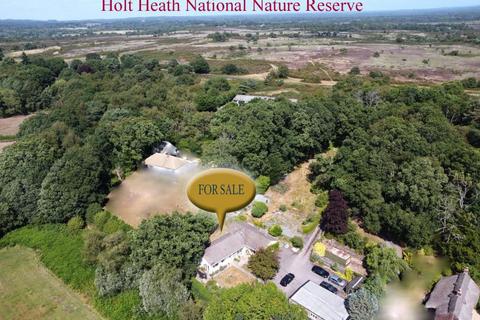 undefined, Woodhuish Coniferales, Holt, Wimborne, BH21 7EA