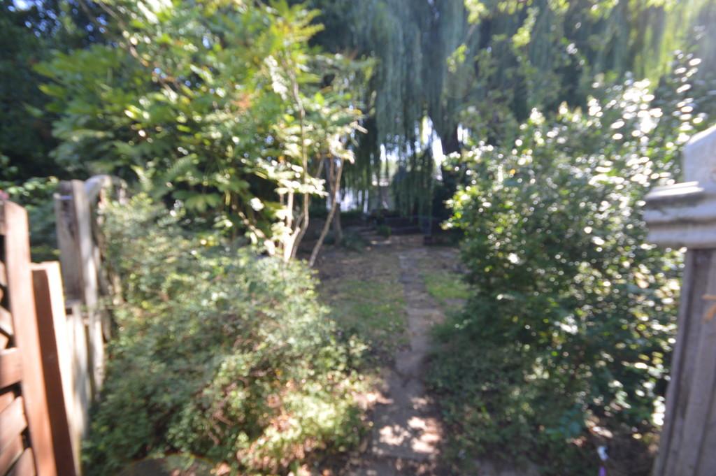 Dsc 0983