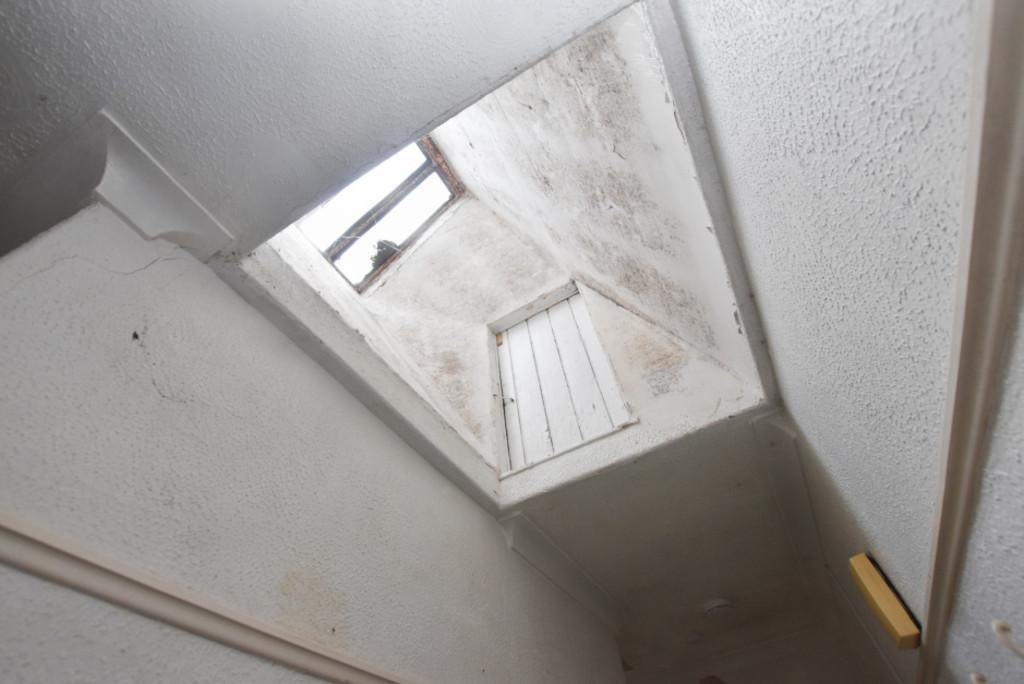 Hallway Skylight