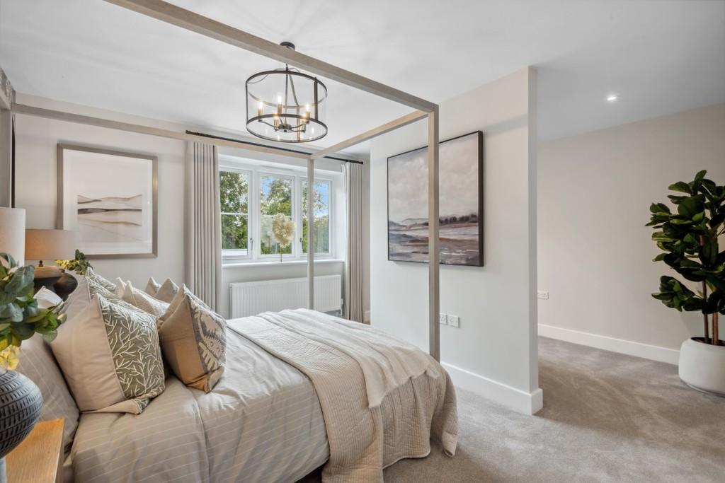 Show Home Image