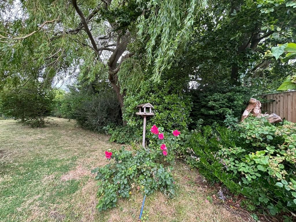Garden 1